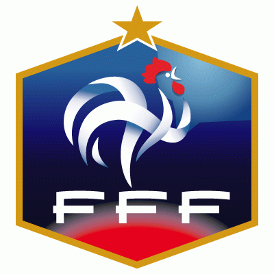 UEFA France 2008-Pres Primary Logo DTF transfer for t shirt